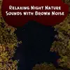 Sounds Of The Night, Nature Sounds Artists & Brown Noise Playlist - Relaxing Night Nature Sounds with Brown Noise, Loopable
